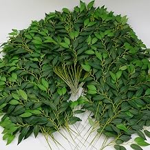 84PCS Italian Ruscus Greenery 60cm Artificial Greenery Stems Leaf Greenery Garland for Wedding Arch Flowers Centerpieces Balloon Arch Home Decor