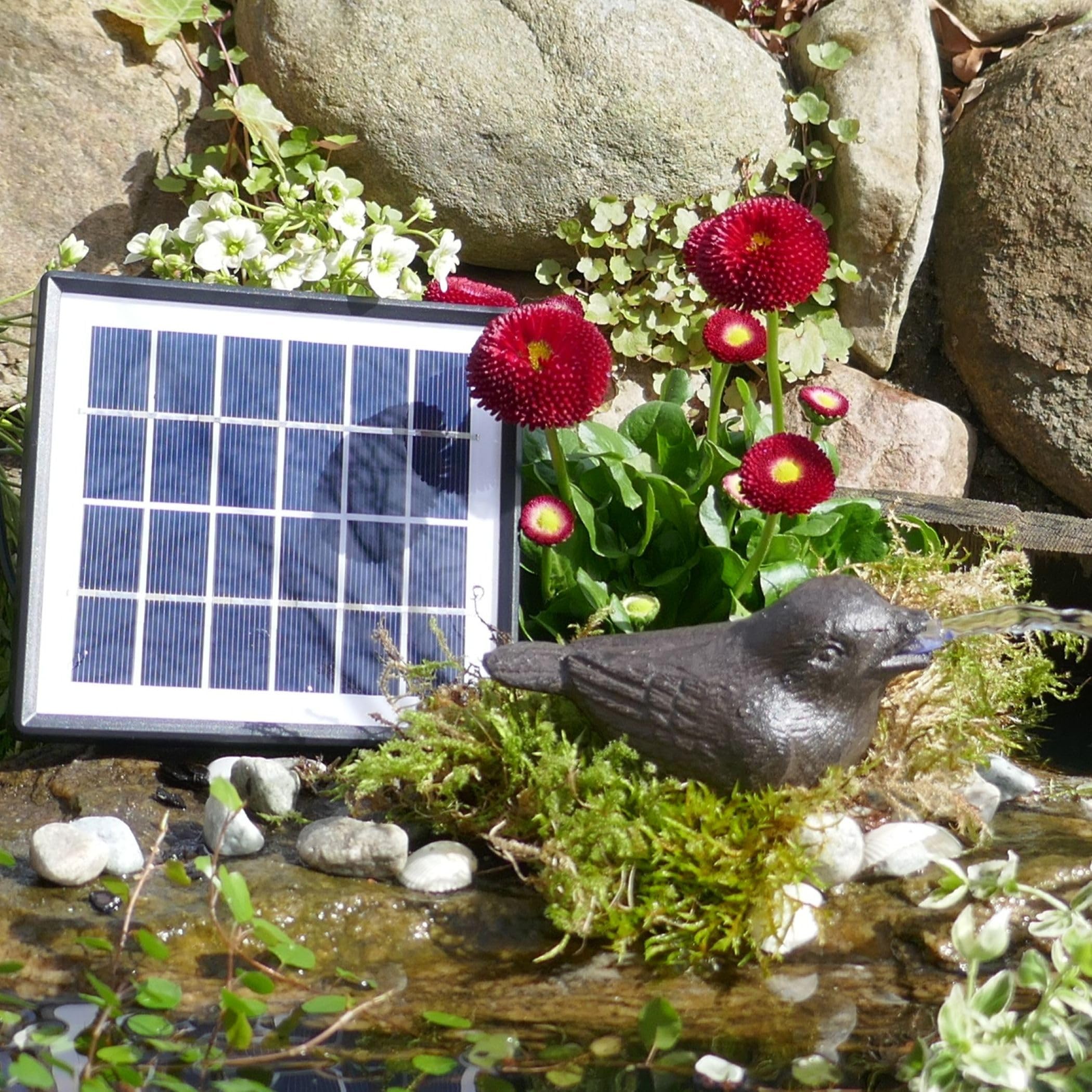Wasserspeier Spatz inkl.Solar- Pumpe Gusseisen Teichdeko