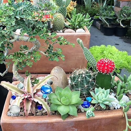 Vista 5 de Honeydak 300 unidades de canicas de vidrio plano para jarrones, guijarros de vidrio, piedras florales para pecera, para jarrones, mesa, dispersos