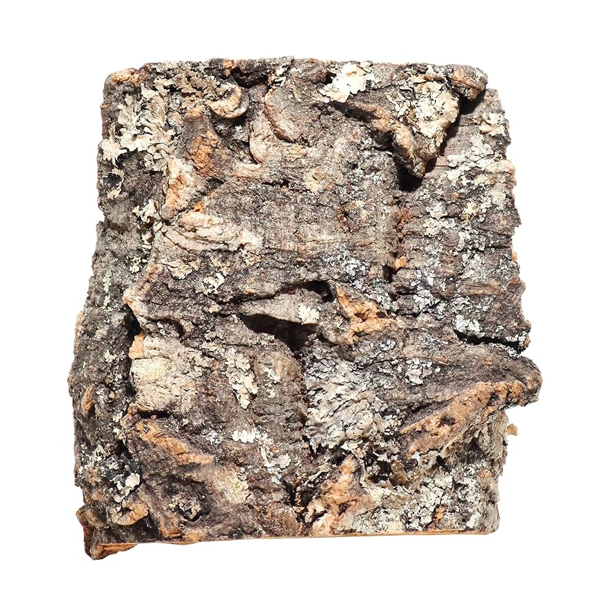 バージンコルクDコルク樹皮 awaさん専用商品 バージンコルクDコルク樹皮 awaさん専用商品 - メルカリ