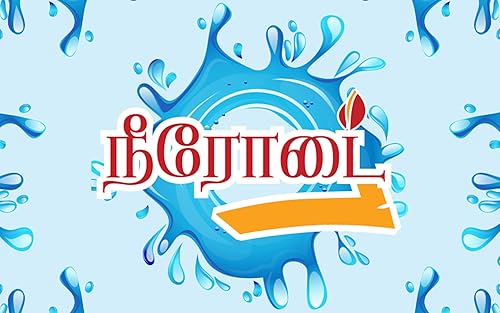 Neerodai நீரோடை