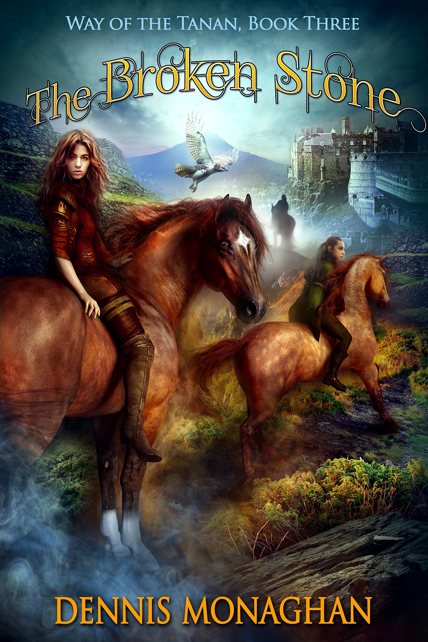 Book cover for The Broken Stone