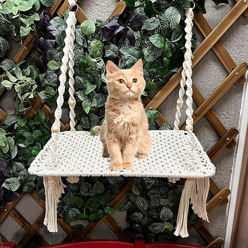 TOYAFUN Percha para ventana para gatos, hamaca de macramé para gatos, cama para gatos de interior, cama de descanso para mascotas para tomar el sol,