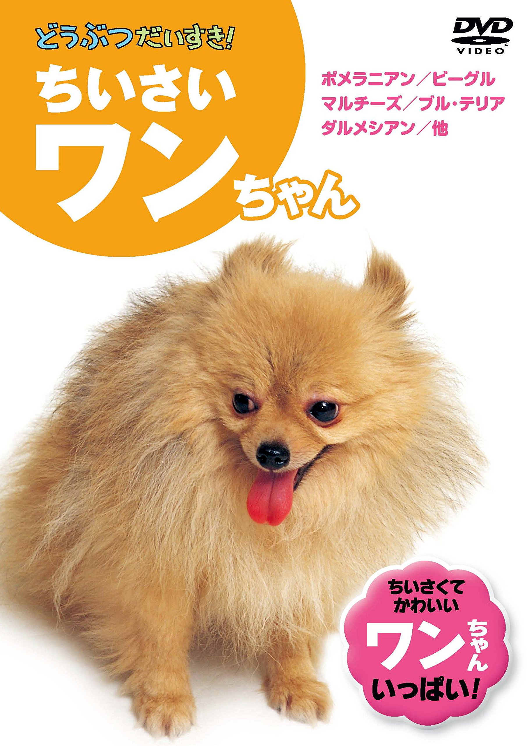 (未使用･未開封品)　ちいさいワンちゃん KID-1301 [DVD] bt0tq1u Amazon.co.jp: ちいさいワンちゃん KID-1301 [DVD] : 柴犬