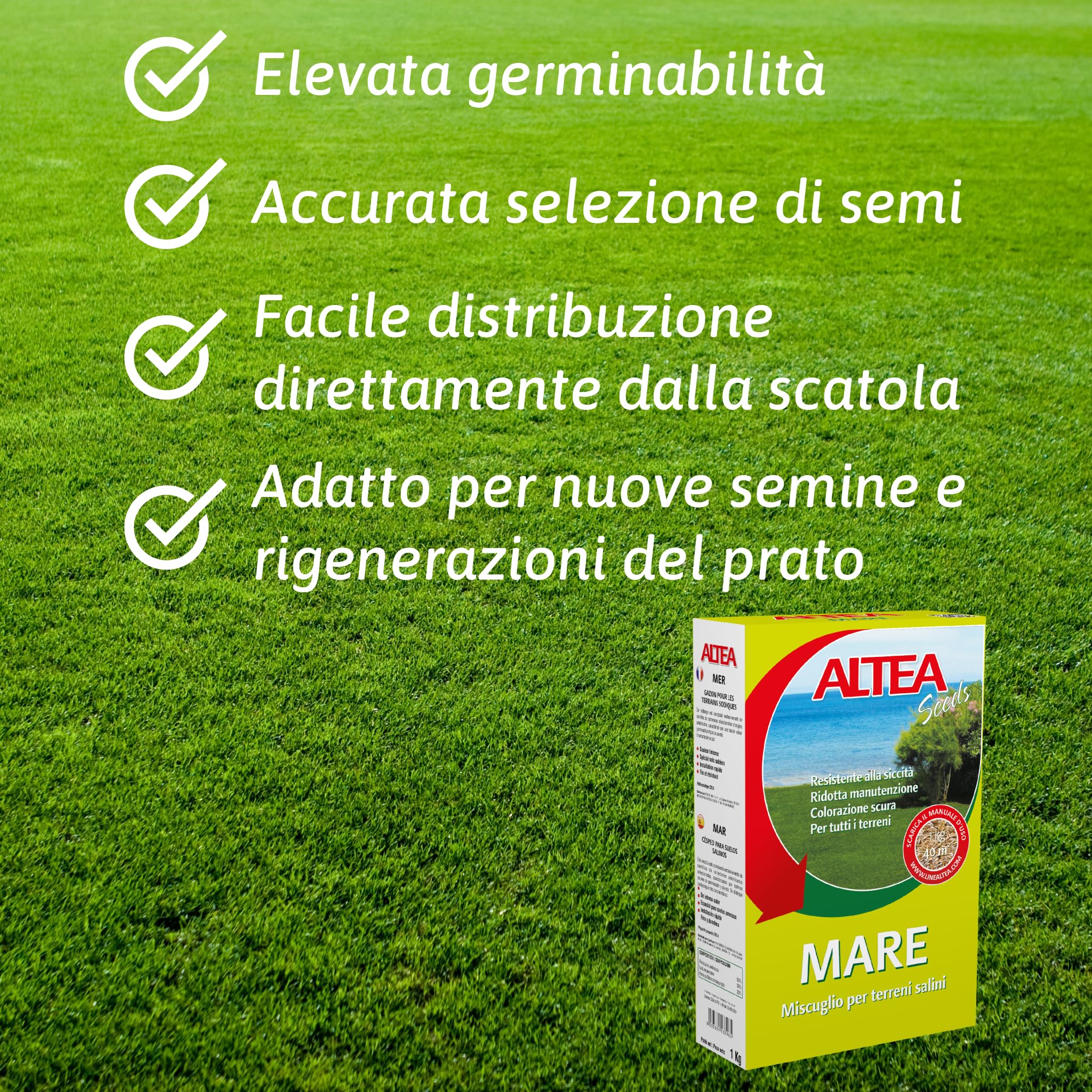 Semi Prato Per Ombra Altea - 1kg Per 40mq, Miscuglio Festuca E Lolium - Foto 12
