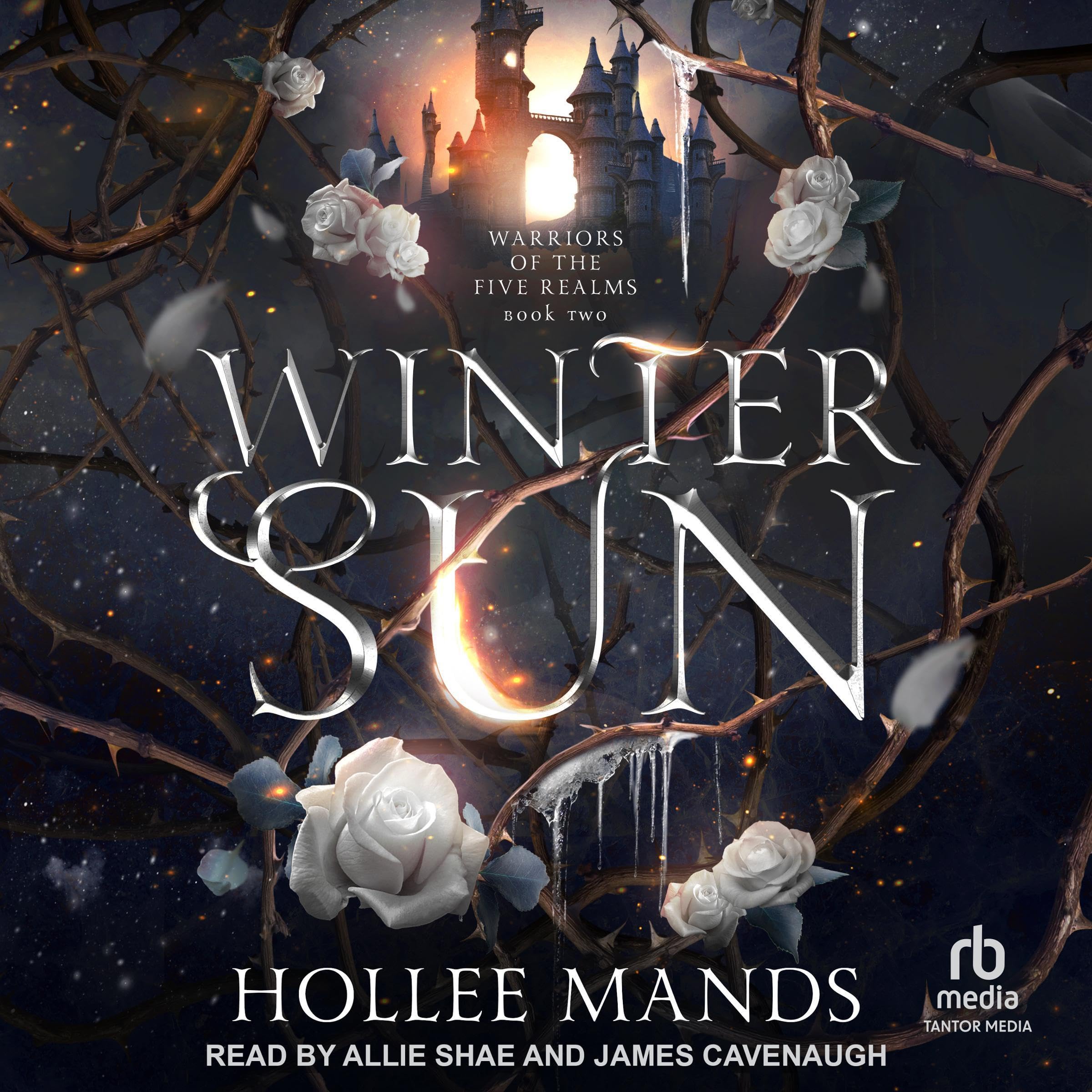 Cover art for Winter Sun