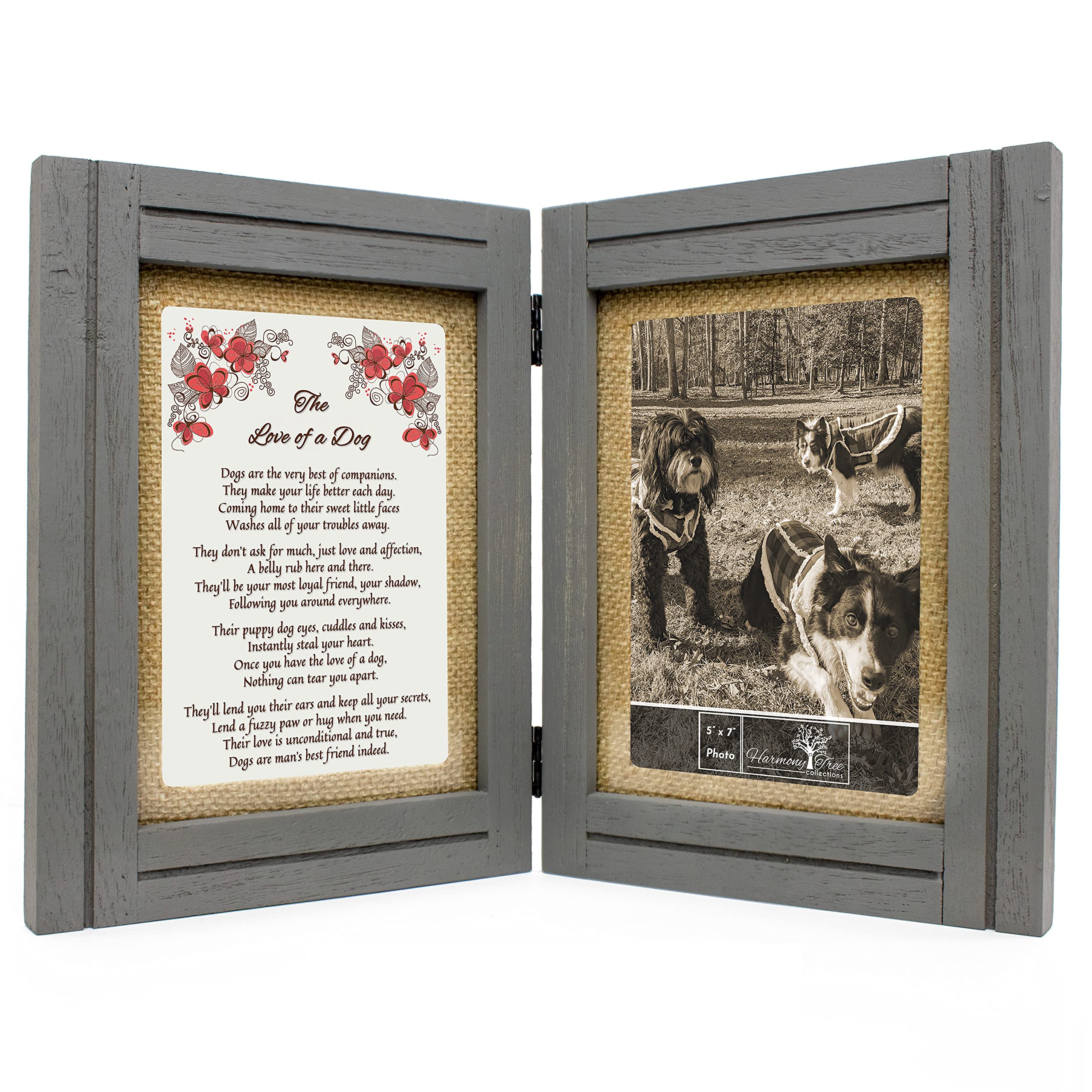 How Do Mother Dogs Show Affection To Puppies