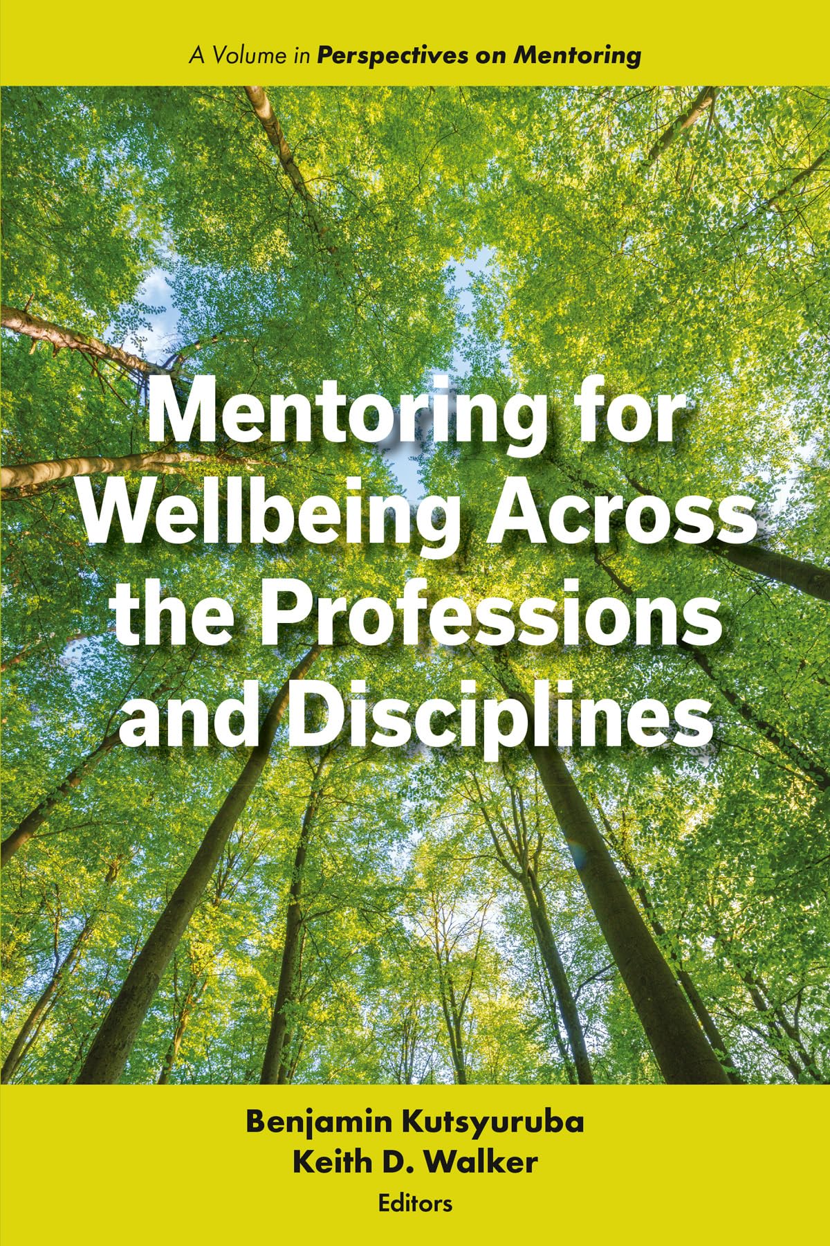 Mentoring for Wellbeing Across the Professions and Disciplines (Perspectives on Mentoring)