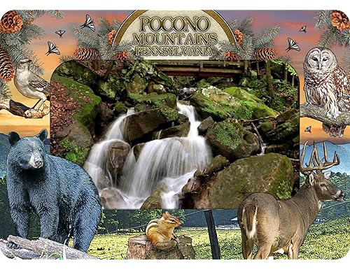 Best Magnet Photo Frames for Fridge 4x6: Protect Your Memories