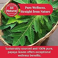 Vista 2 de Akshit Hoja de papaya seca, 5.2 onzas, té de hierbas de hojas sueltas, puro de hojas de papaya verde, hojas de papaya, sin cafeína, perfecto