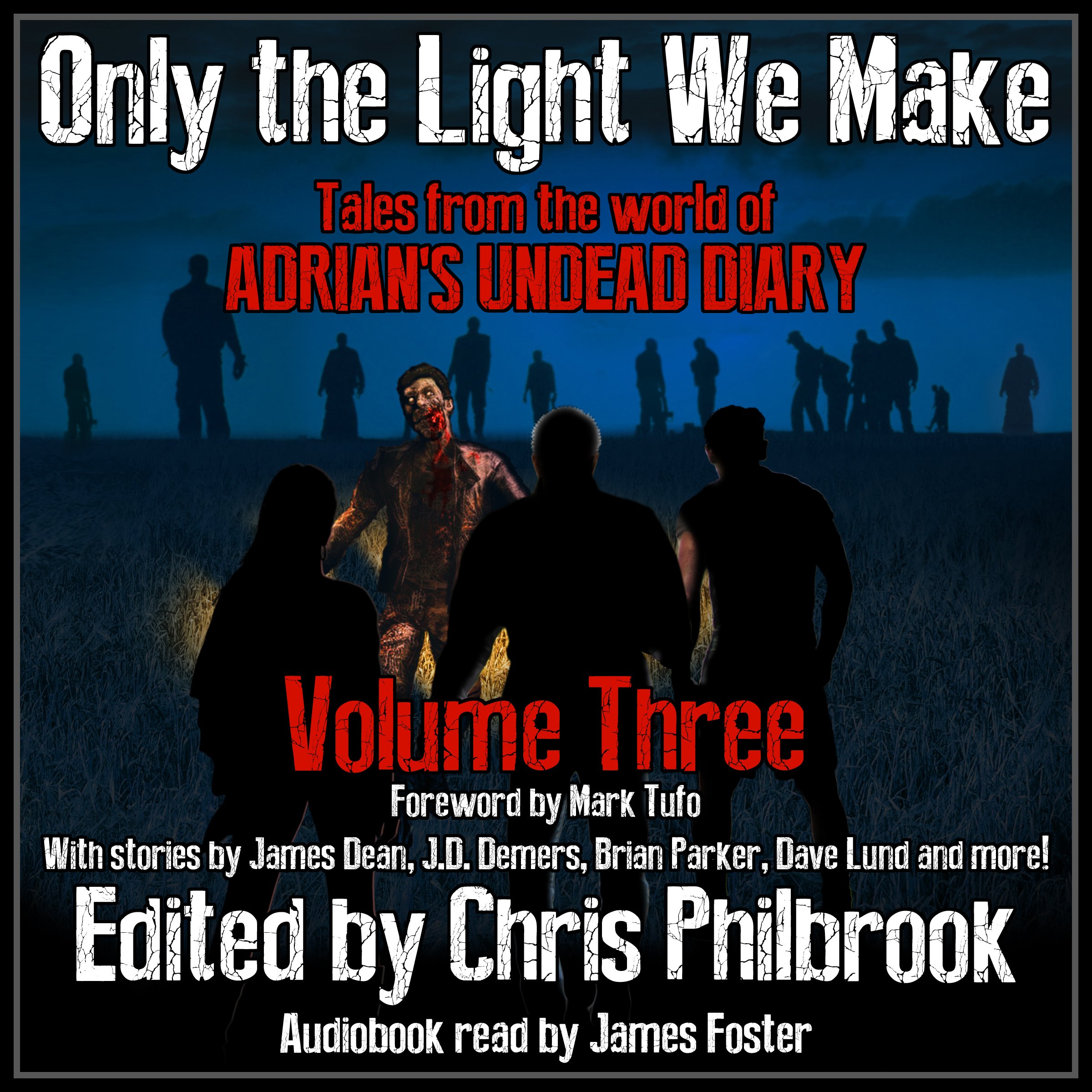 Cover art for Only the Light We Make