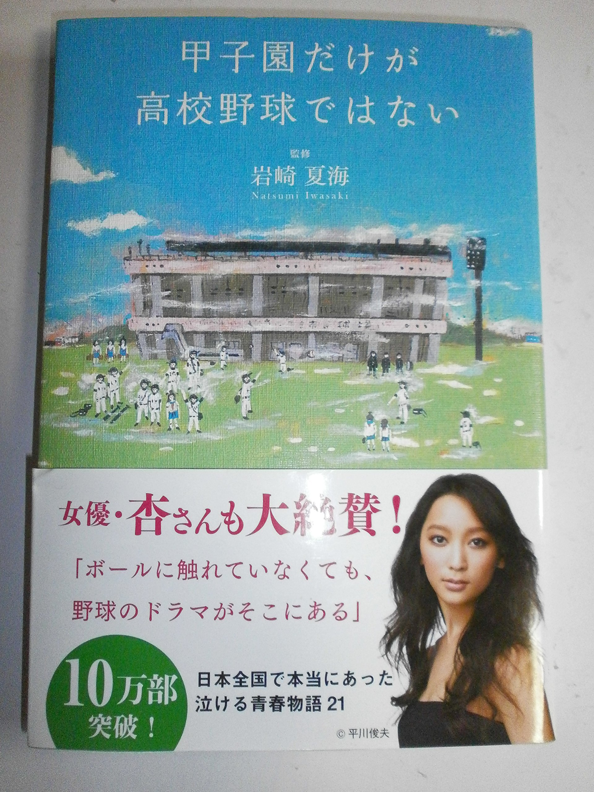 甲子園だけが高校野球ではない | 岩崎 夏海, 岩崎 夏海, 岩崎 夏海 |本