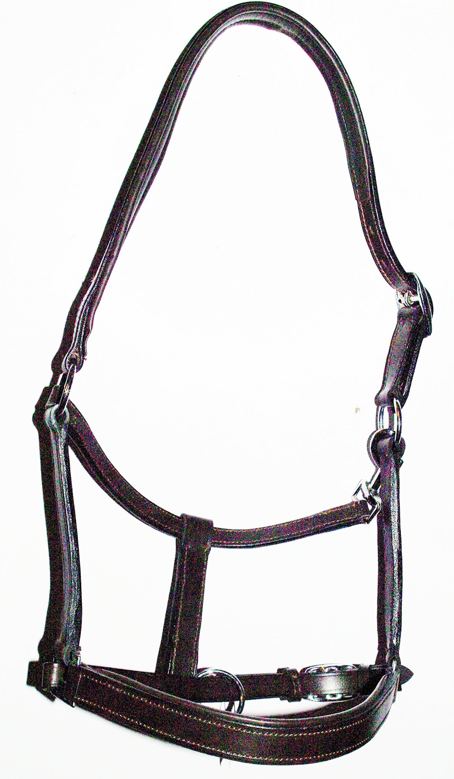The Ragnar Collection Padded Leather Headcollar-Excellent Quality. Black & Havana in Pony,Cob & Full - FREE UK DELIVERY (HAVANA, COB)
