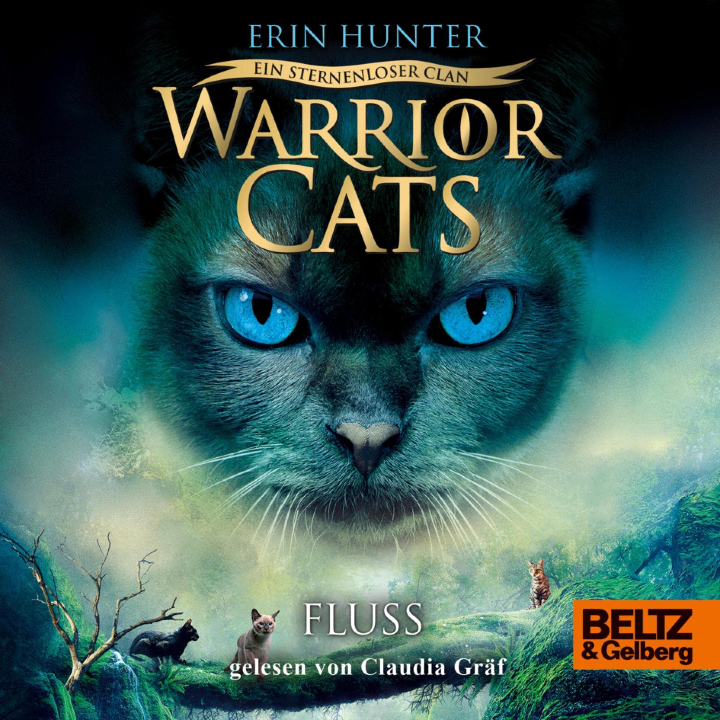 Cover art for Fluss