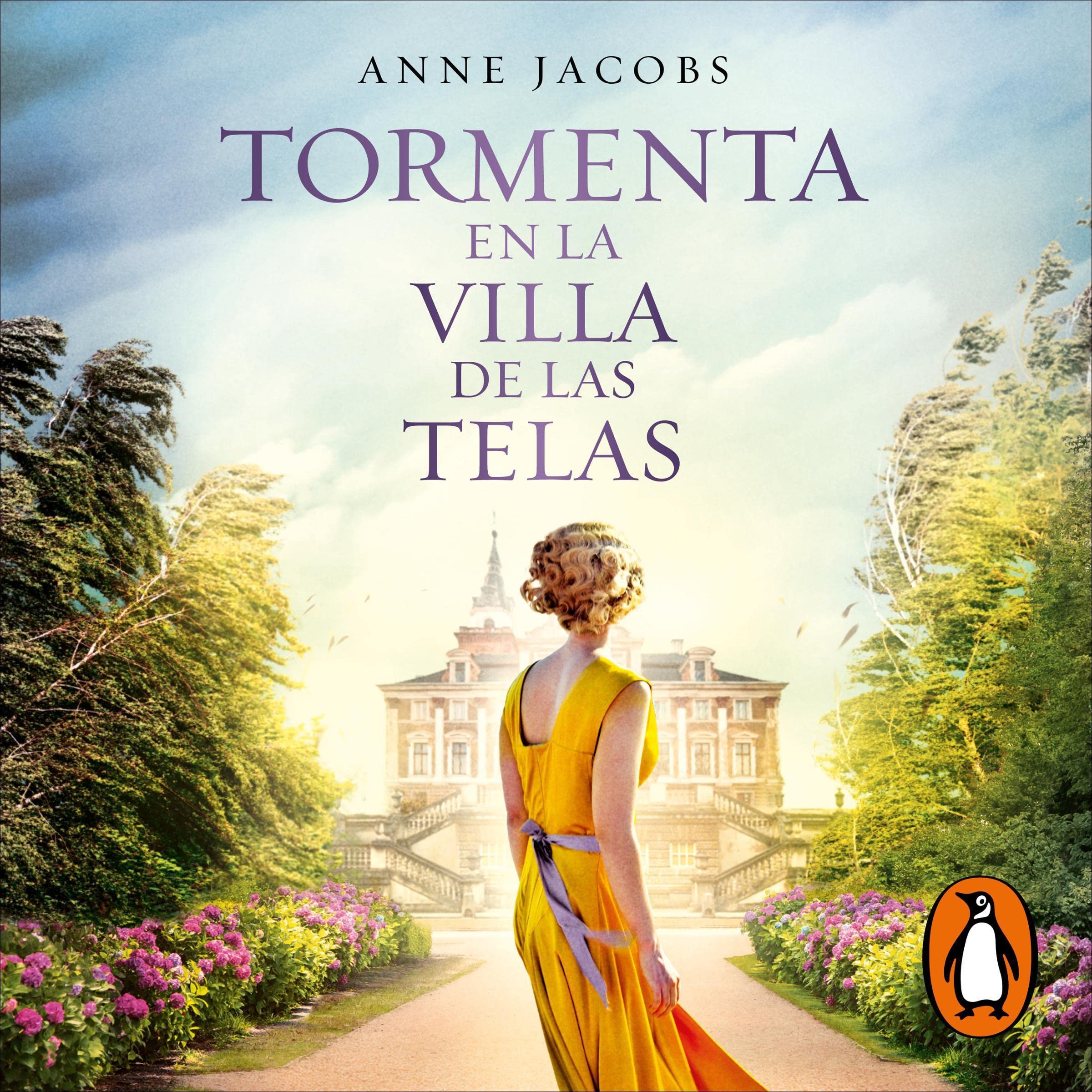Cover art for Tormenta en la villa de las telas [Storm in the Village of Fabrics]