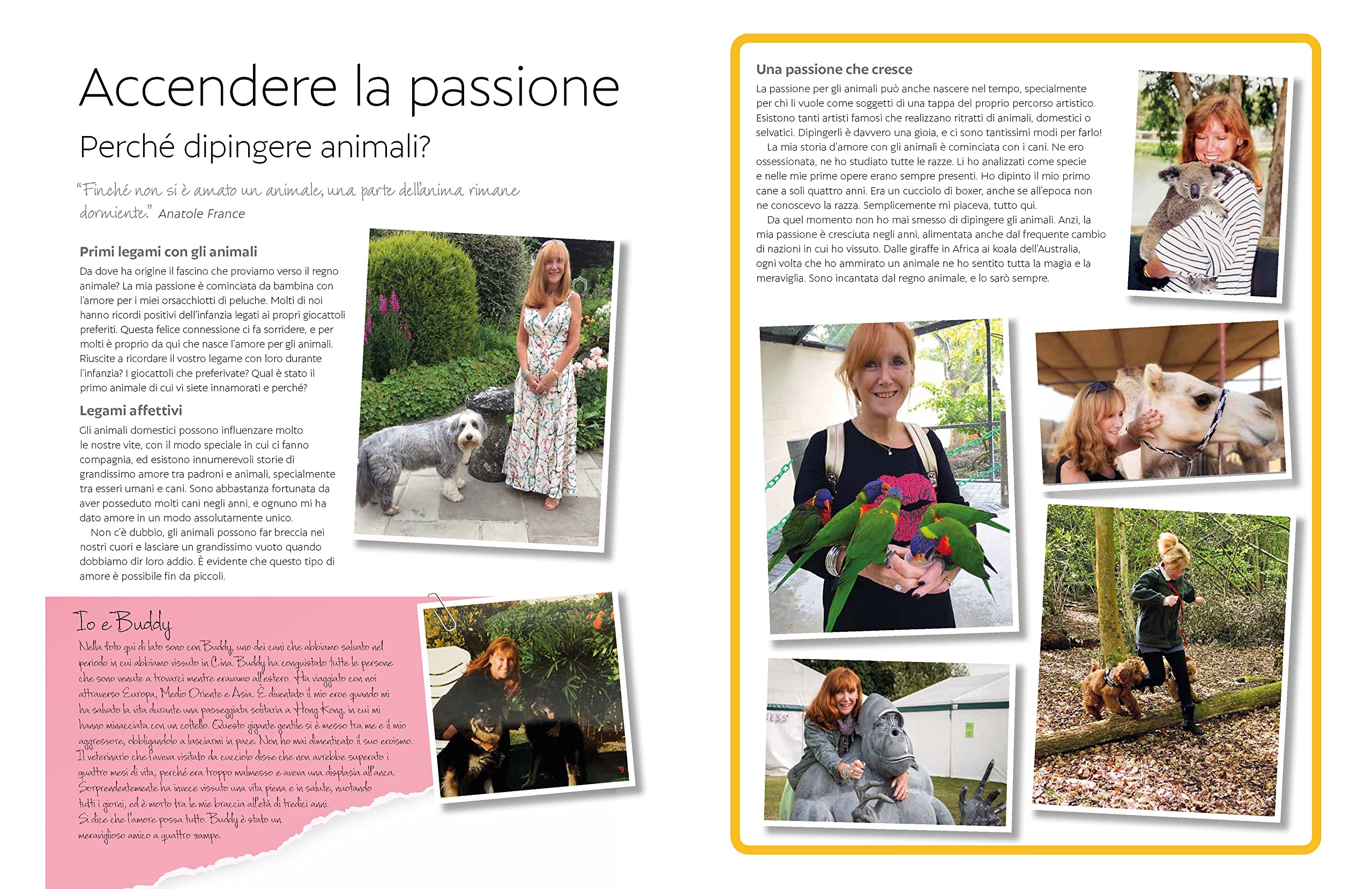 Suggestivi animali ad acquarello. Dipinti con energia & vitalità