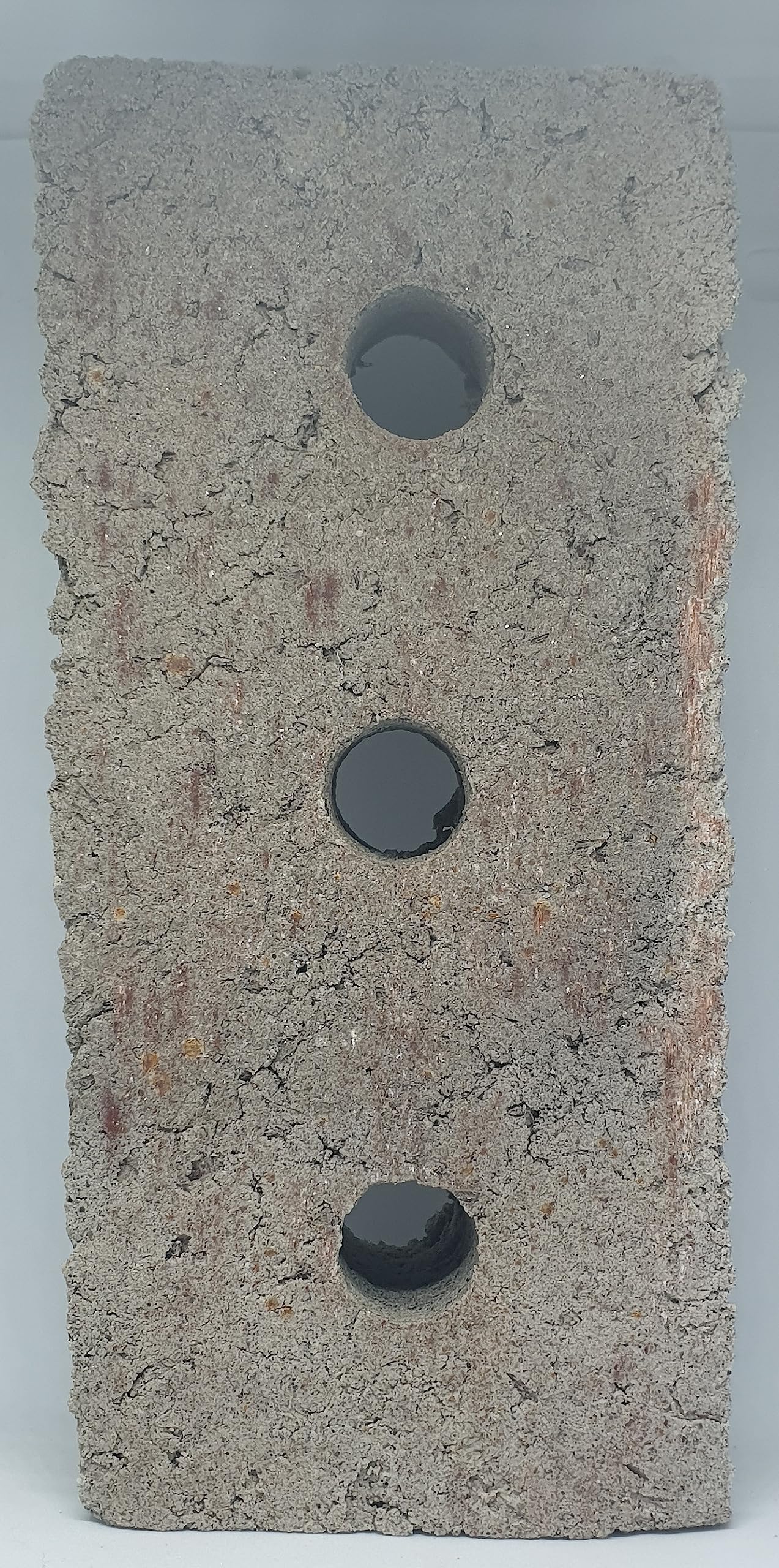 Biohome Bricks - Filtración para acuarios de Agua Dulce y Salada, porosidad 50%, Material filtrante, 1 Piedra por 150 litros