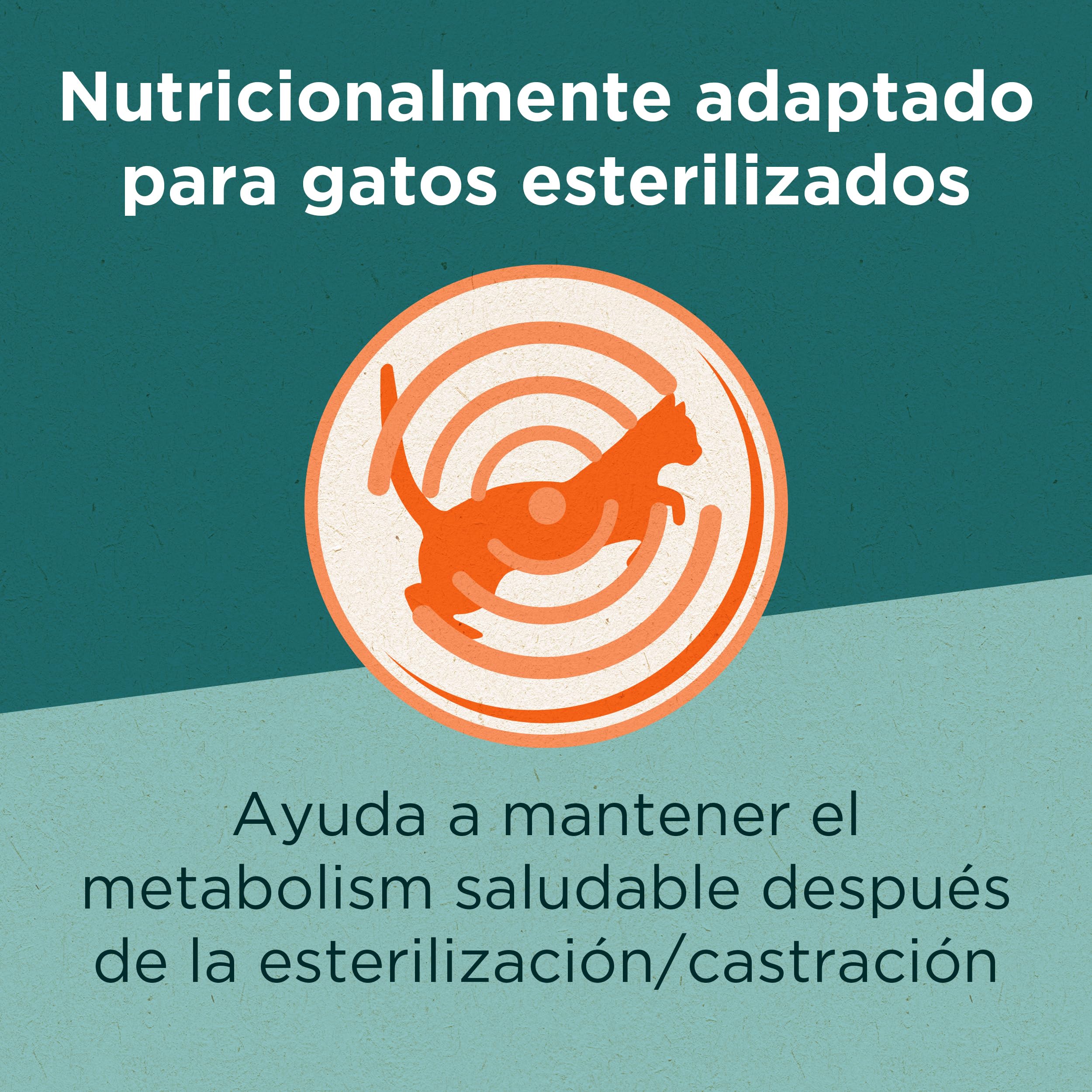 Purina One Dual Nature pienso Gato Adulto Esterilizado Salmón 6x1,4 kg