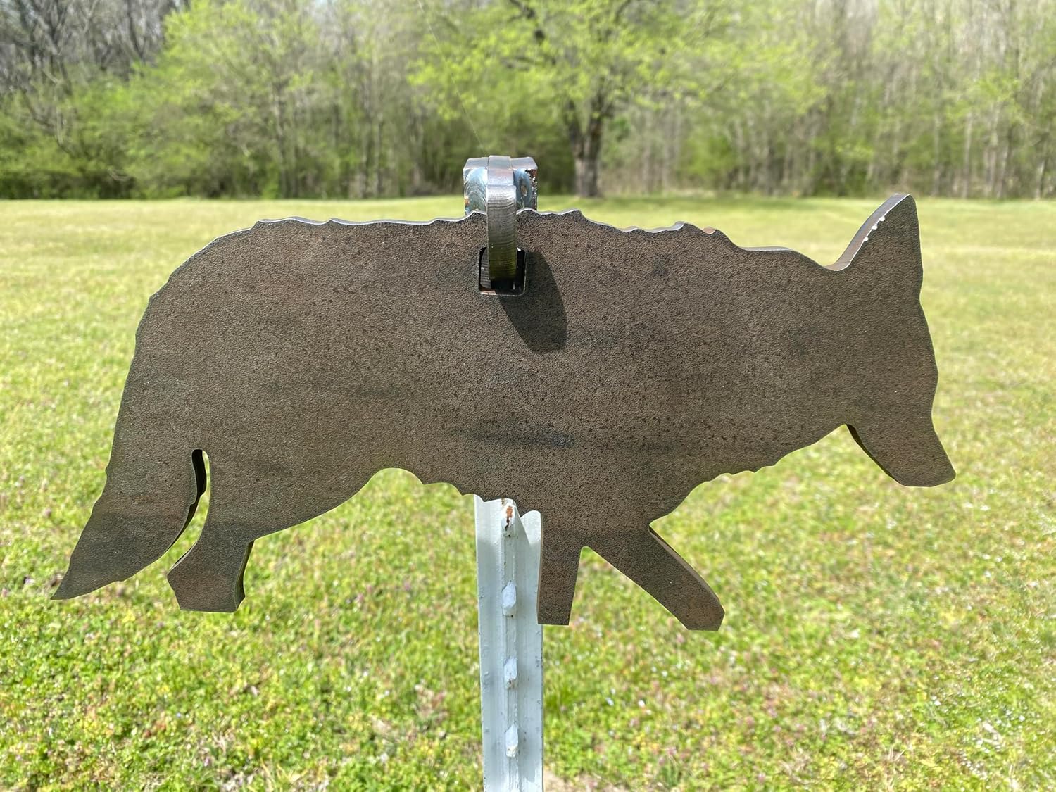 Magnum Target 3/8" AR500 15"x30" Coyote Silhouette - Range/Hunting Rifle Practice Steel Shooting Target Gong