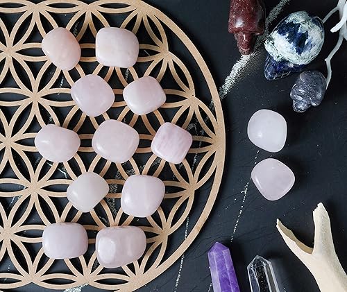 Miniatura 4 de Crocon 800+ quilates, 13 piezas de piedras y cristales de cuarzo rosa a granel para chakras, reiki, cristales de equilibrio curativo de chakras,