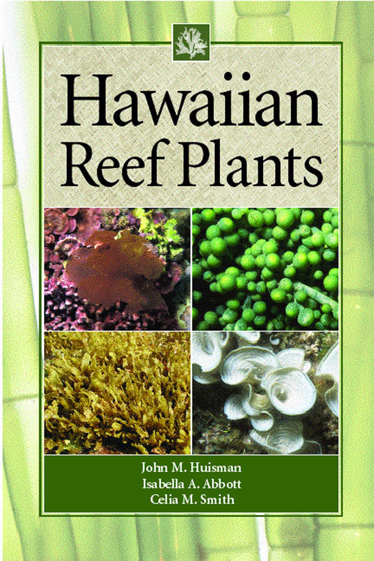 Hawaiian Reef Plants