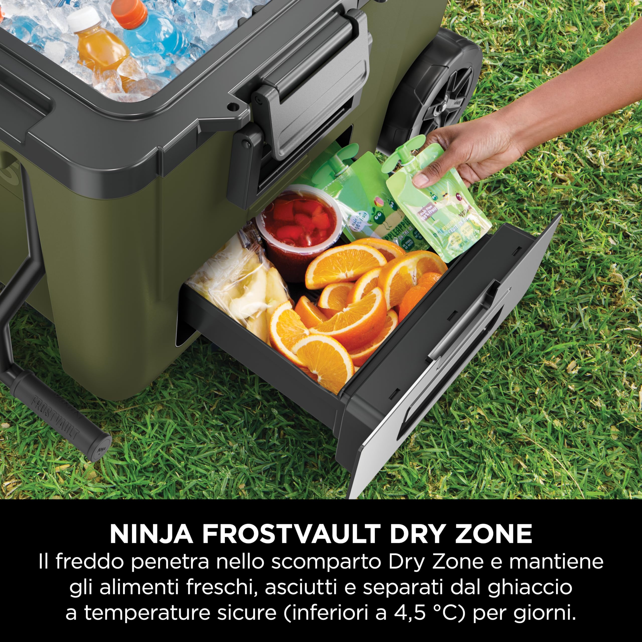 Ninja FrostVault, Ghiacciaia portatile isolante robusta, Verde | con borraccia Ninja Thirsti e mattonella refrigerante grande, con ruote e scomparto frigo integrato, FB245AMZEUUKGN