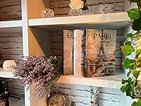 Vista 7 de Libros decorativos para decoración del hogar, hermoso juego de 3. Cajas decorativas, no páginas en el interior. Libros Decorativos para Mesa
