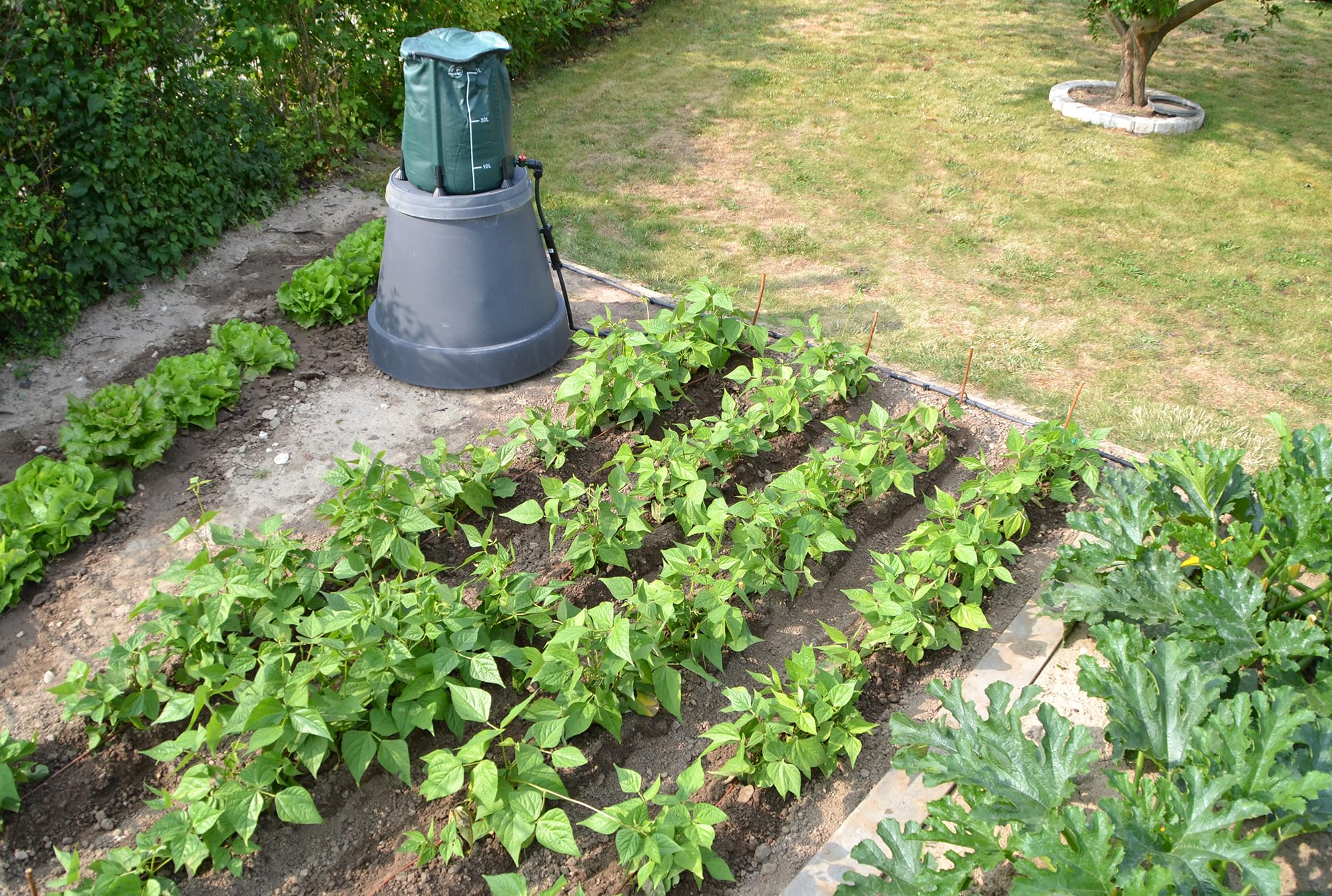 Jardibric - Kit Goutte à Goutte Gravitaire 50 m² - Système Irrigation Sans Pression - Arrosage Potager