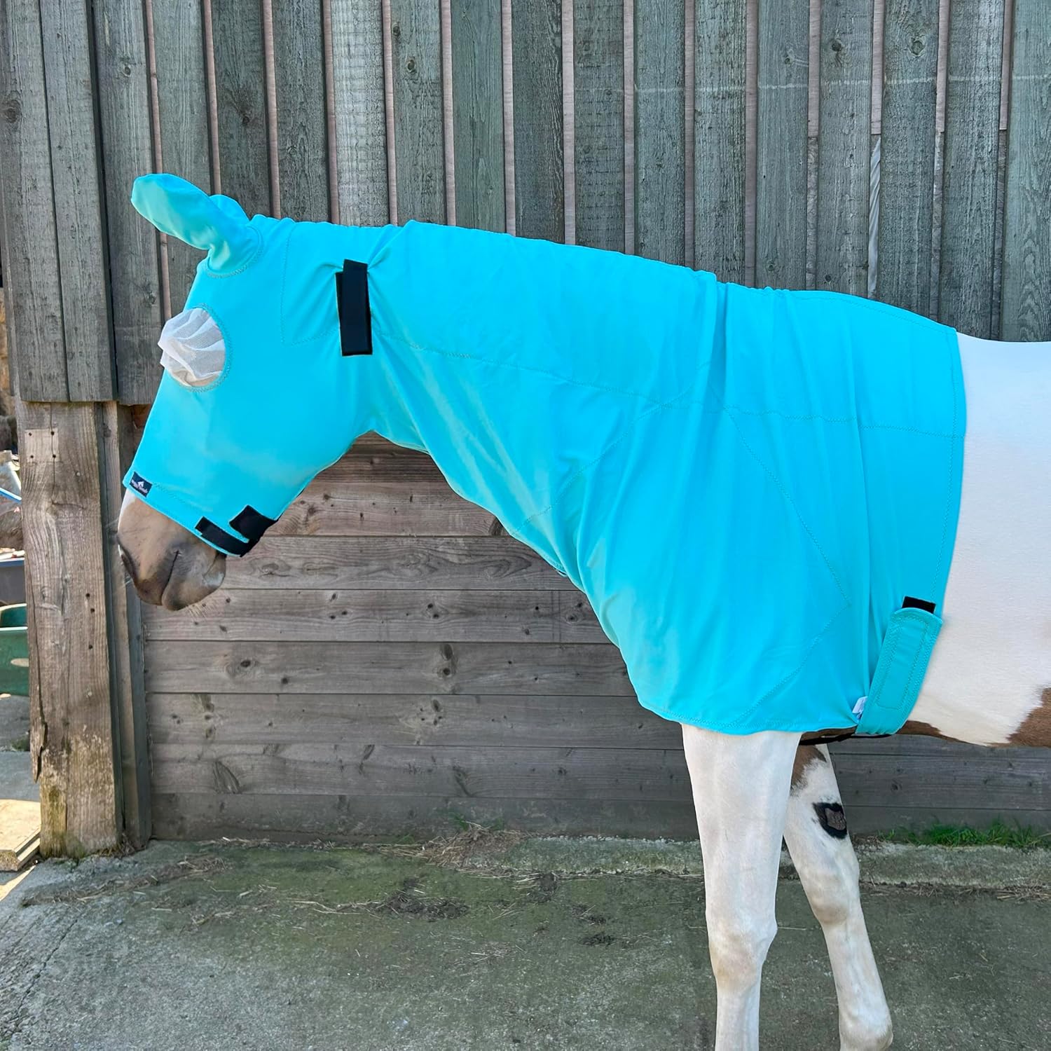Fly Hood for Horse and Pony | Ultimate Protection from Sweet Itch, UV Rays, Flies and Insects | Snuggy Hoods | Zip Version | 3 Colors, 8 Sizes