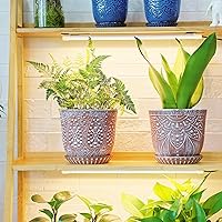 Vista 6 de Gepege 6 Inch Beaded Ceramic Planter Set of 2 with Drainage Hole and Saucer for Plants, Indoor-Outdoor Large Round Succulent Orchid Flower Pot