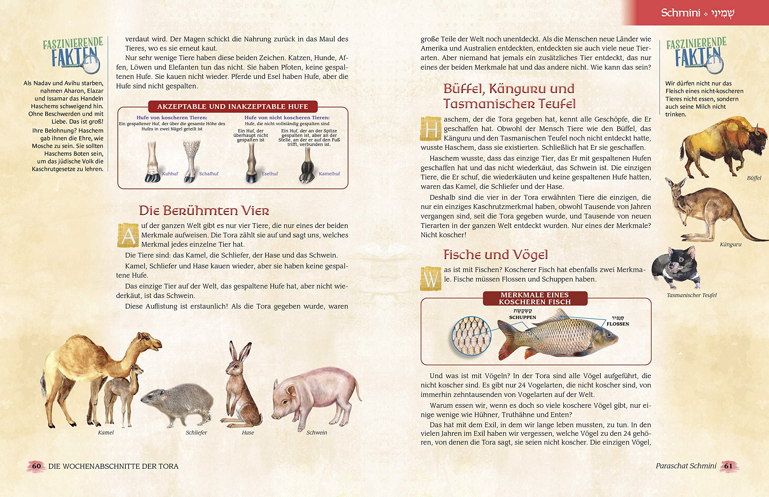 Die Wochenabschnitte der Tora. Band 3. Buch Wajikra.: Eine illustrierte Nacherzählung mit Midraschim (Meine Tora)