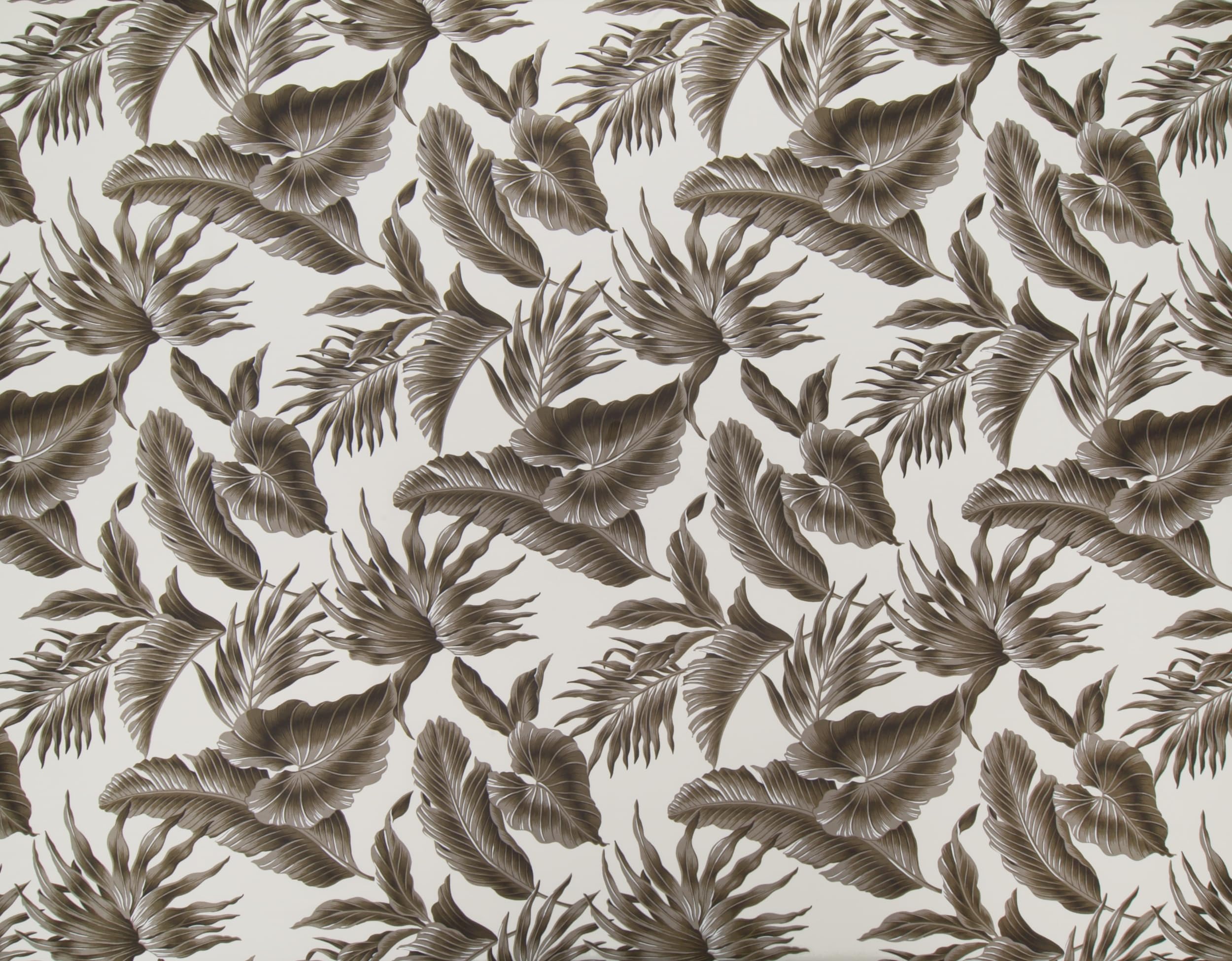 Trendtex Fabrics Ltd. - 100% Cotton Poplin - HOC-049 Cream