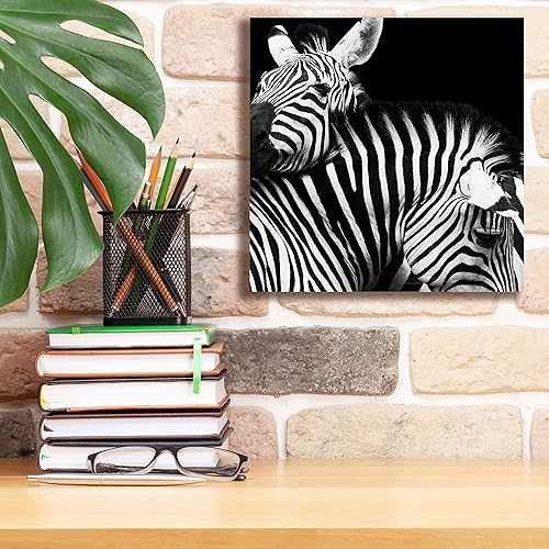Miniatura 6 de Epic Graffiti 'Zebra VI' por Debra Van Swearingen, arte de pared en lienzo, 12 x 12 pulgadas