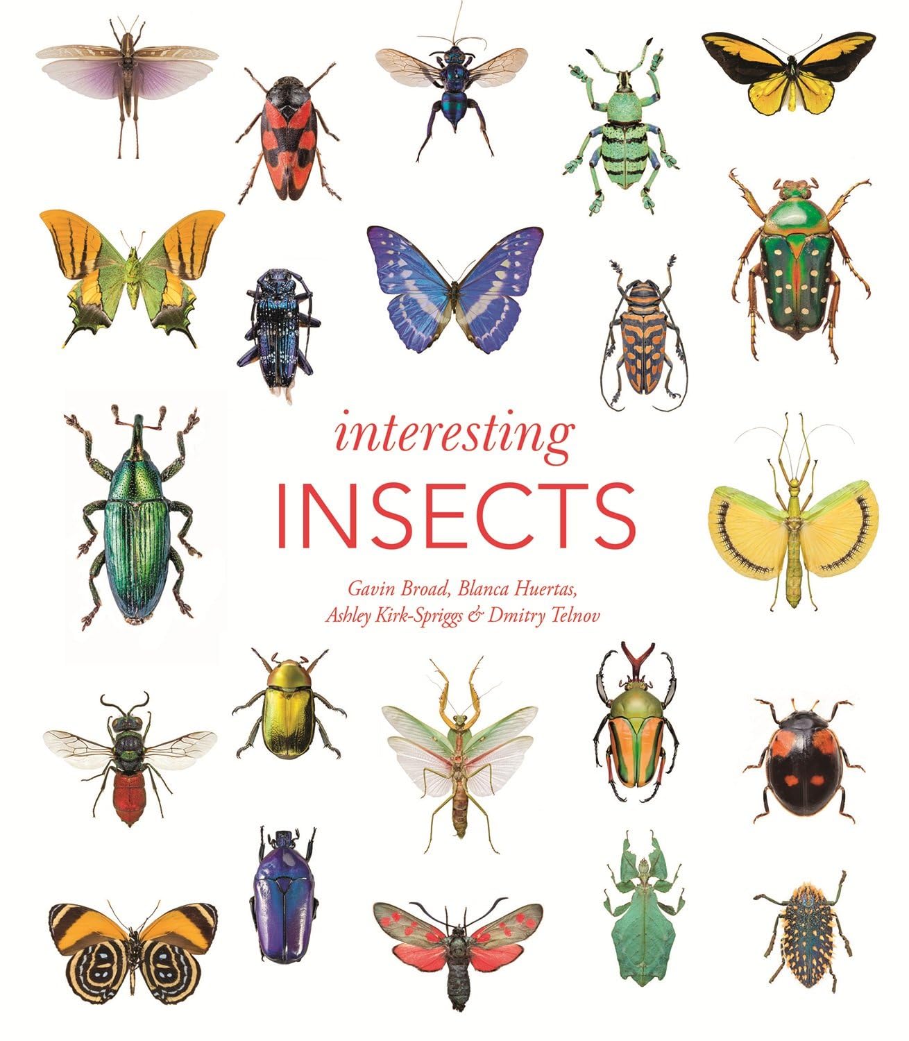 Interesting Insects