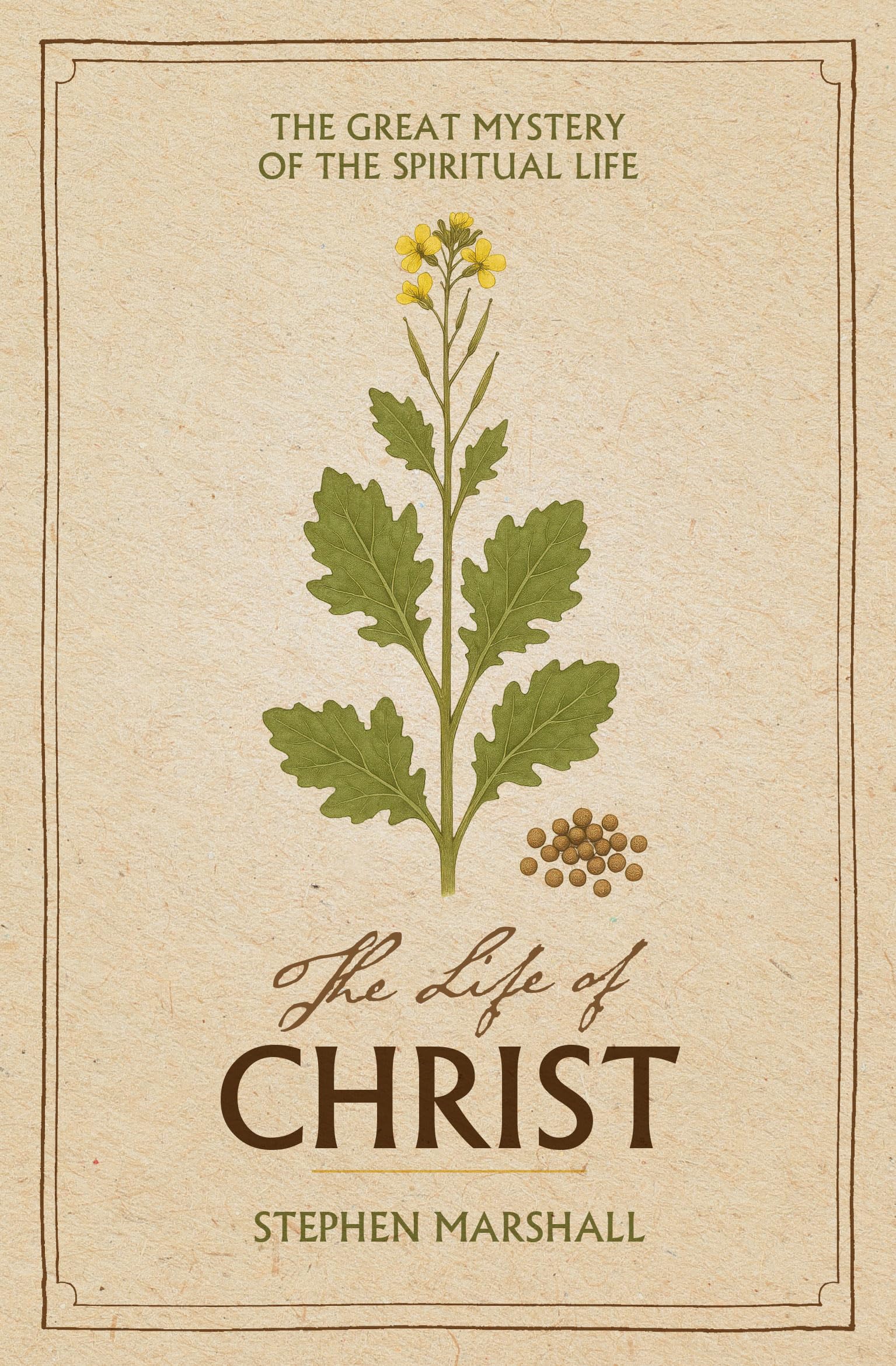 Life Of Christ