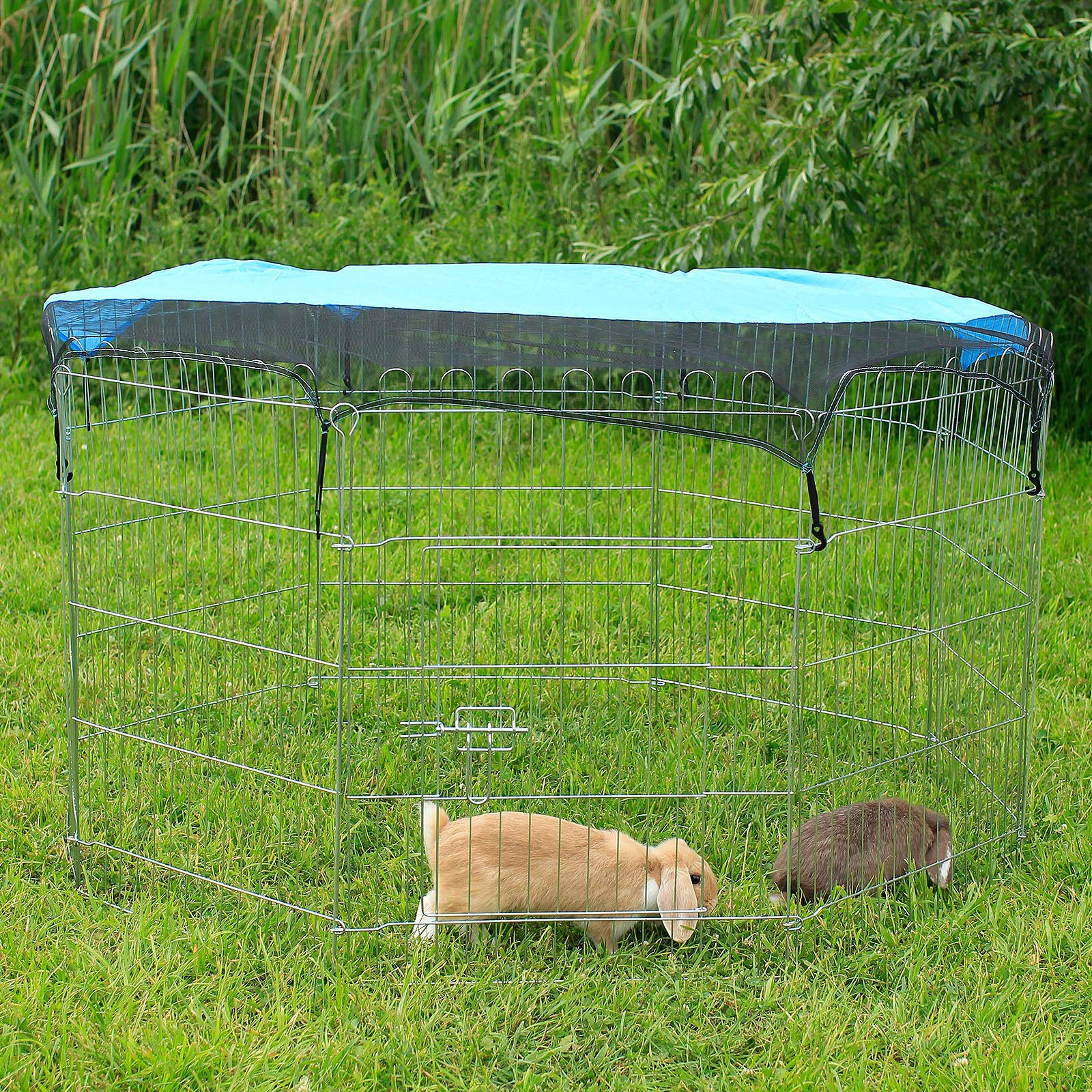 lionto Recinto per Cani Gatti Cuccioli Gabbia per Animali di Piccola Taglia, (L) 59x78 cm