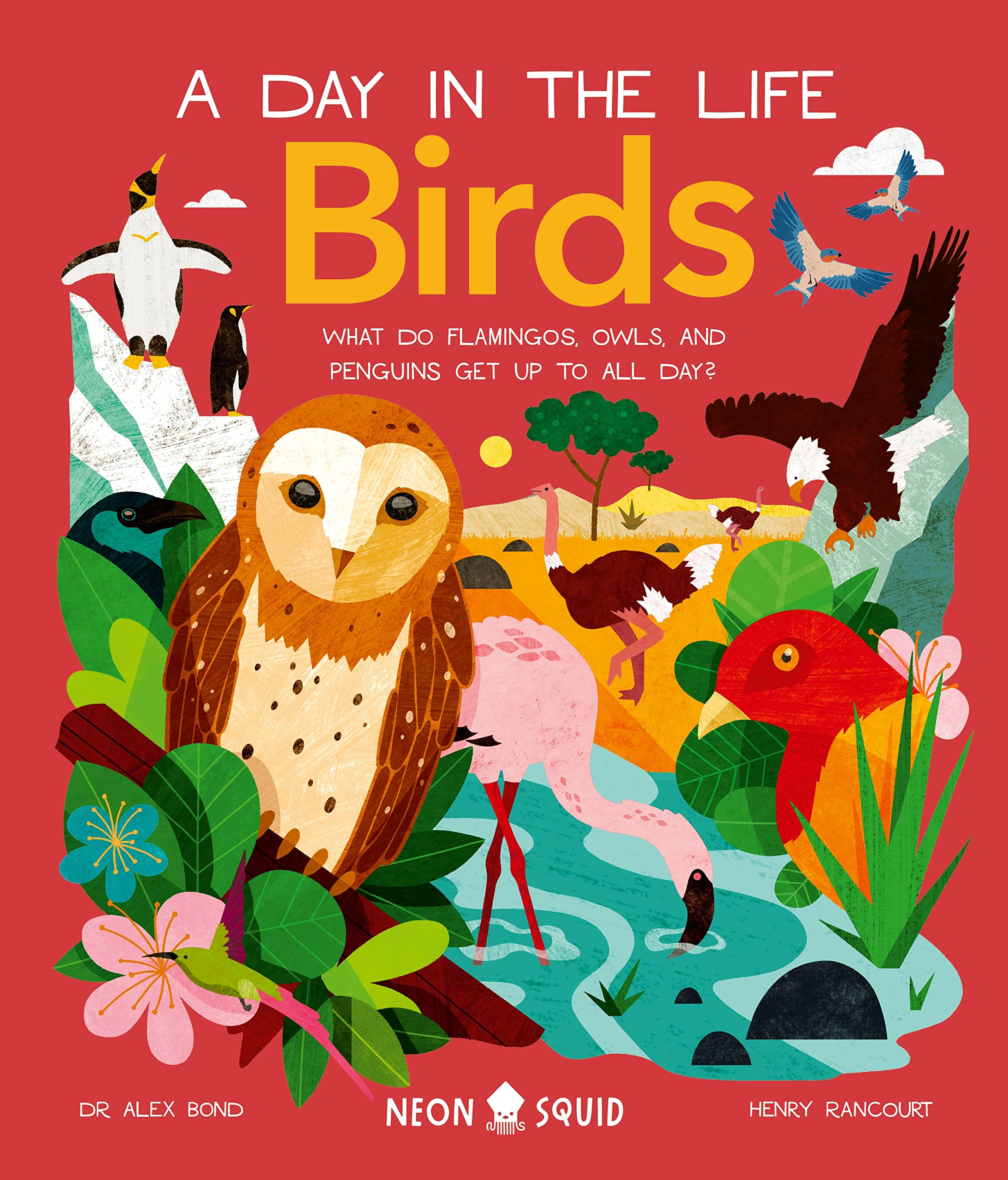 Birds (A Day in the Life): What Do Flamingos, Owls, and Penguins Get Up To All