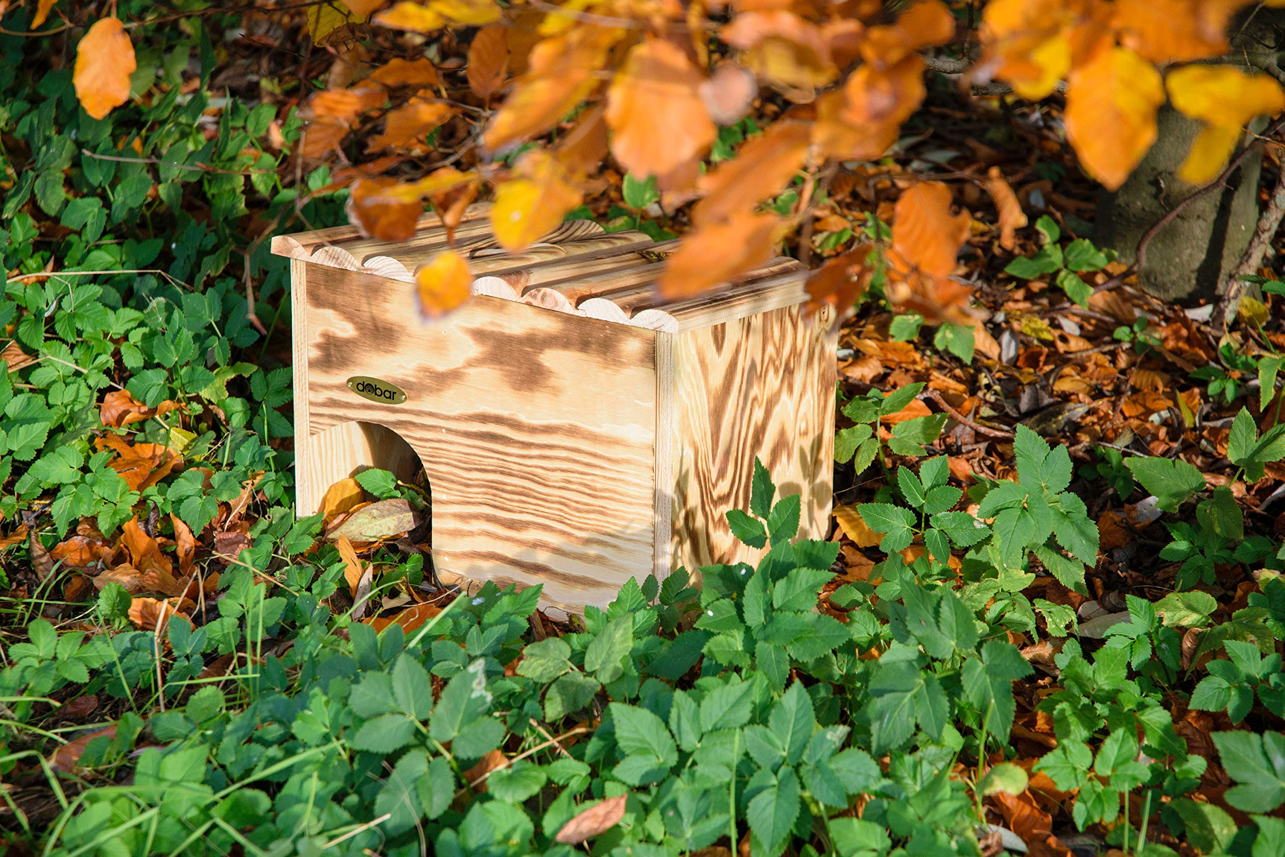dobar® 22232FSCe - Casetta per ricci in legno massello – casetta per ricci per il giardino – cuccia per il riccio con serratura – hotel con protezione contro i nemici – 30,5 x 26,5 x 24 cm – fiammata