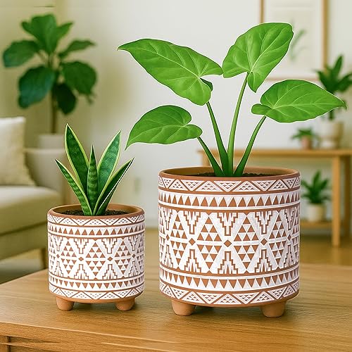 Miniatura 44 de D'vine Dev Juego de 2 macetas de terracota, 4 y 6 pulgadas, maceta de diseño con orificio de drenaje, selva monzónica, terracota/negro, 31-953-H-2