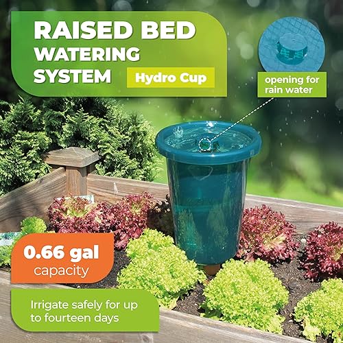 Miniatura 3 de BioGreen HYDRO CUP - Inserto para maceta de riego automático, 0.66 galones, picos de arcilla y taza, globos de riego de plantas con indicador de