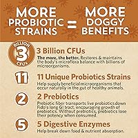 Vista 3 de Fidobiotics Good Guts for Lil Mutts - Probiótico para perros, miles de millones de UFC, 11 cepas, 5 enzimas digestivas, 2 prebióticos, salud