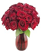 Vista 70 de KaBloom - Rosas arcoíris (media docena)- Flores frescas para cumpleaños, San Valentín y Día de la Madre