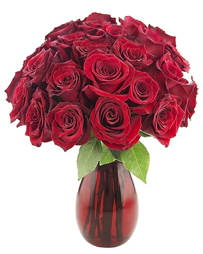 Miniatura 15 de KaBloom ENTREGA PRIMA AL DÍA SIGUIENTE - Colección Otoño - Ramo de 18 Rosas Naranja Frescas Cortadas (Frescas de Granja, Tallo Largo) con Jarrón.