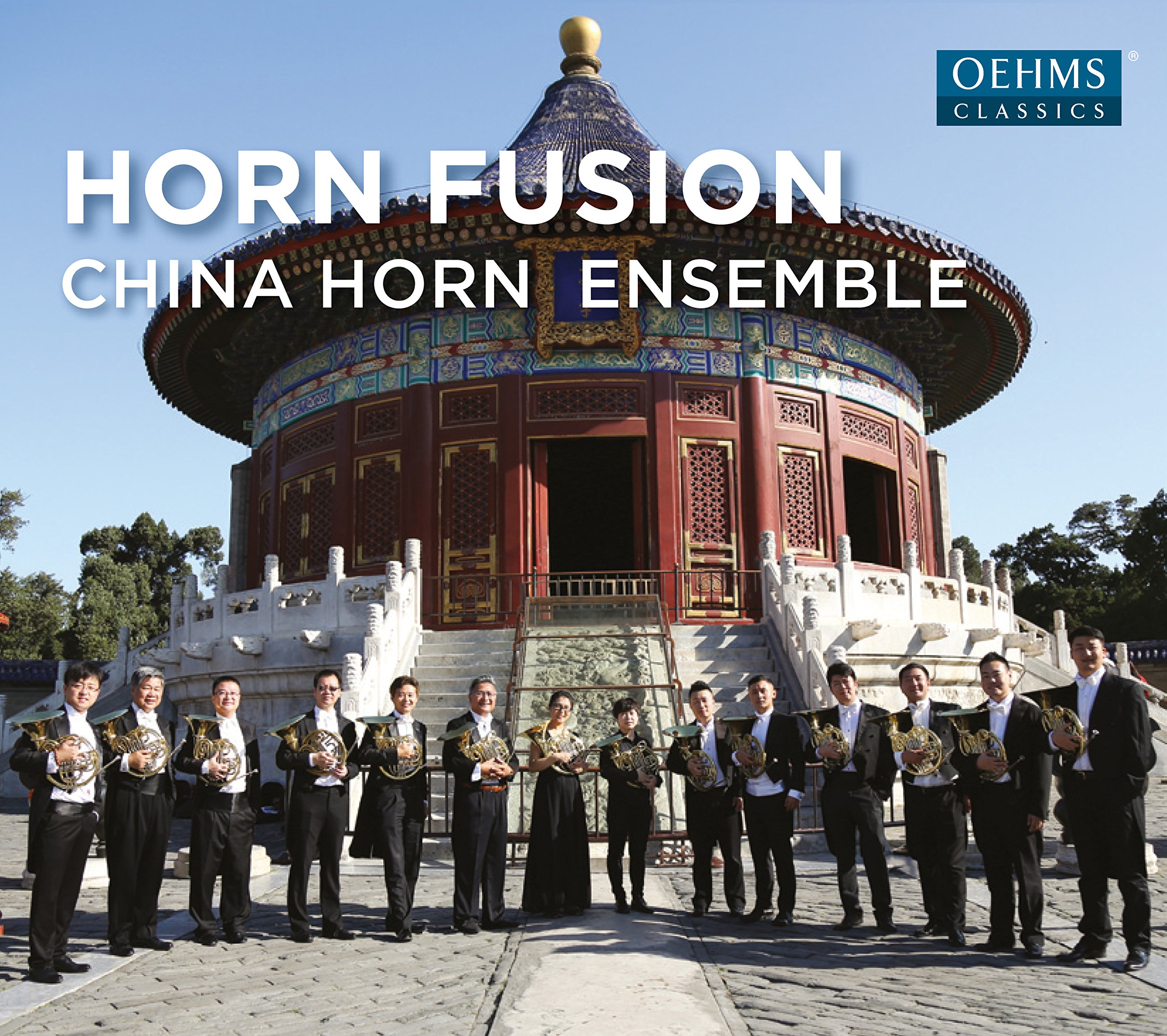 Horn Fusion (2017)