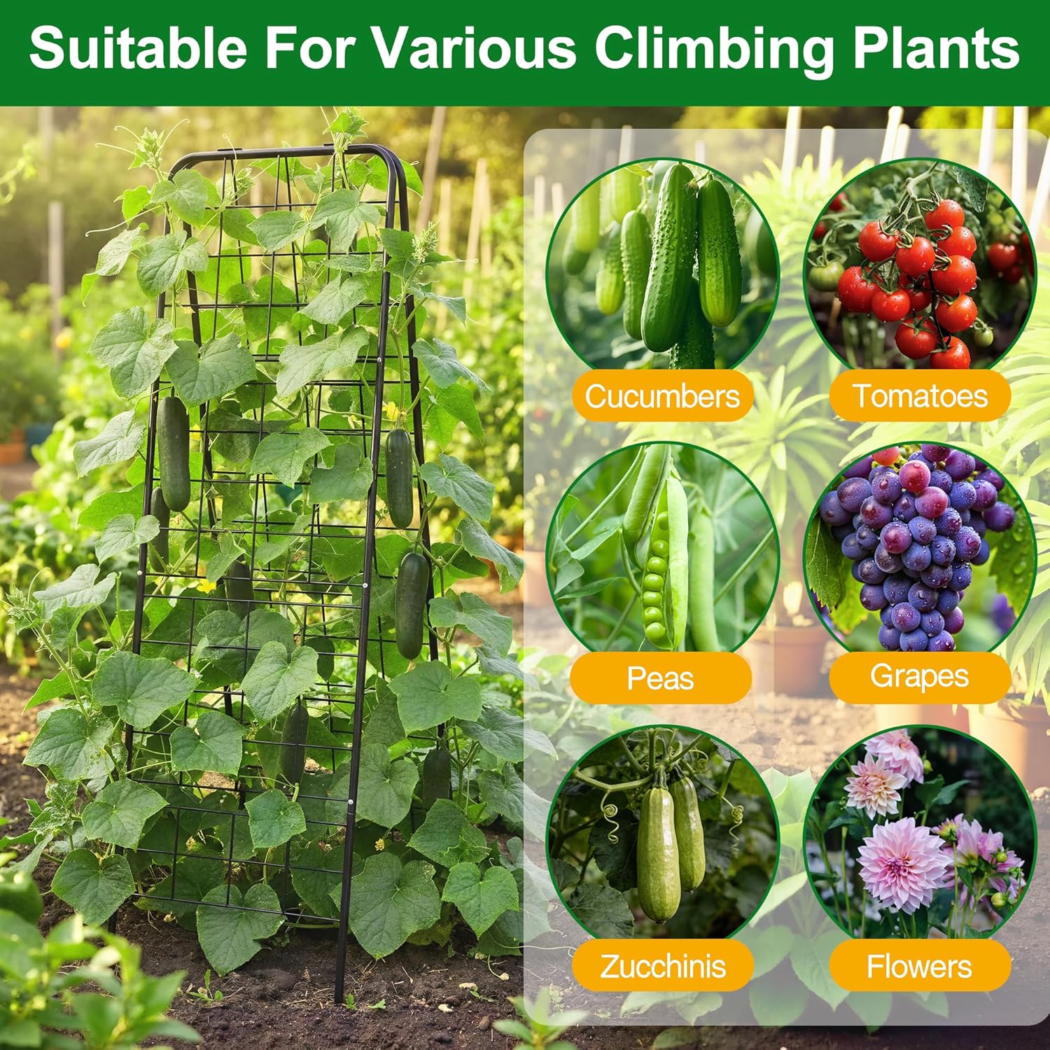 WAENLIR 63x17inch Cucumber Trellis Tomato cage with Dense Steel Grid–A-Frame Heavy Duty Metal Trellis for Raised Beds, Cattle Panels for Garden Trellis for Climbing Plants Outdoor (Black, 63x17inch)