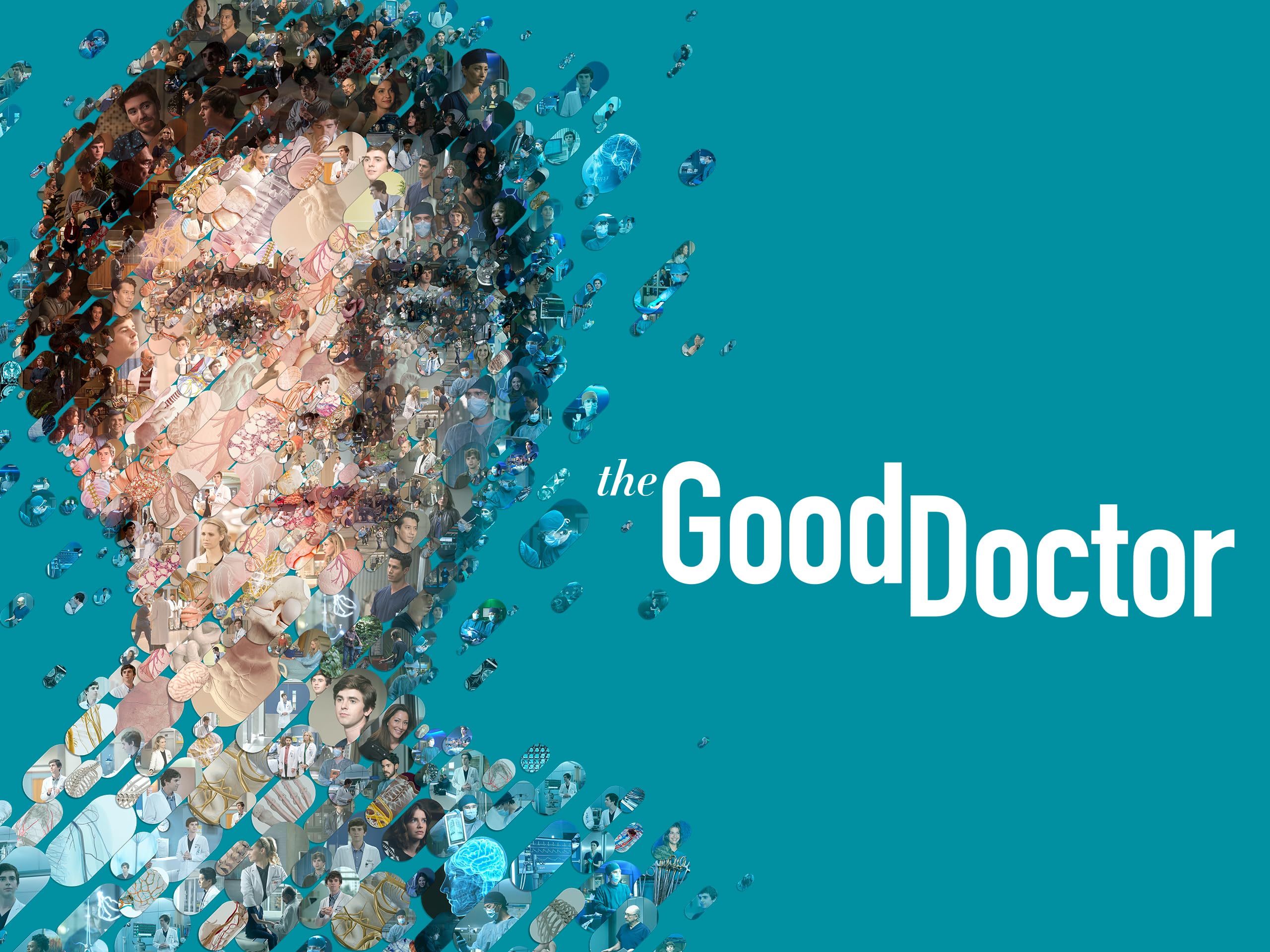 The Good Doctor - Season 7