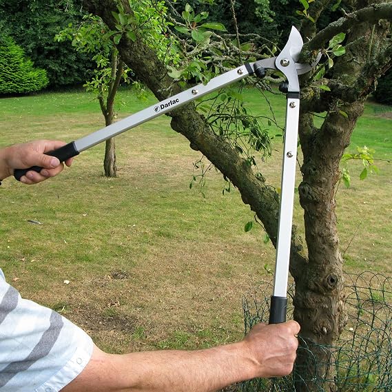 Darlac Expert Bypass Loppers – Long Reach Tree Loppers for Gardening – 40mm Pruning Capacity with Cushioned Buffers and Soft-Grip Handles