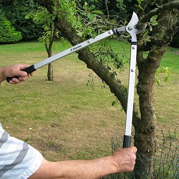 Darlac Expert Bypass Loppers – Long Reach Tree Loppers for Gardening – 40mm Pruning Capacity with Cushioned Buffers and Soft-Grip Handles