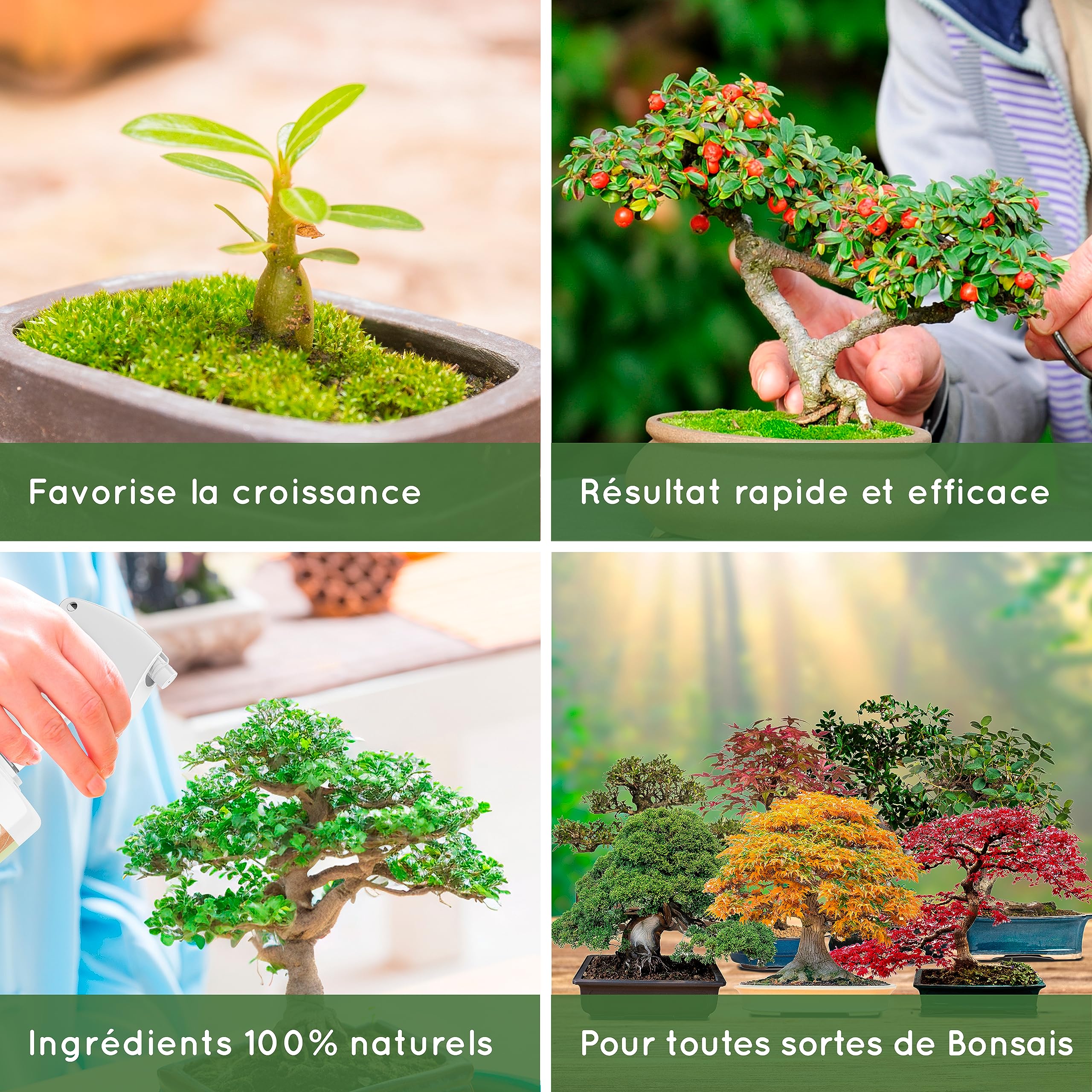 Engrais Liquide Bio pour Bonsas - Engrais Bonsa - Amliore la Solidit  des Bonsas et la Fertilit du Sol - 100% Naturel Fabriqu en Espagne -  Spray Prt  l'emploi - 250ml : Amazon.fr: Jardin