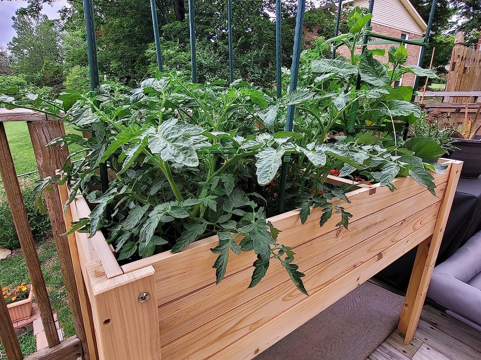 121,9 cm Pflanzenstütze Gartenstecker Stahl Pflanzstäbe 25 Stück
